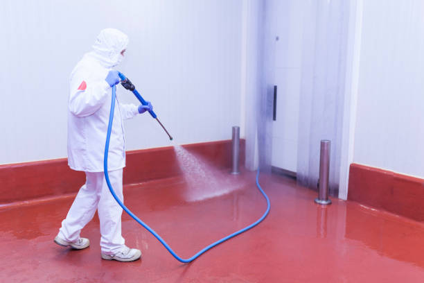 Best Restaurant Pressure Washing  in Lewes, DE
