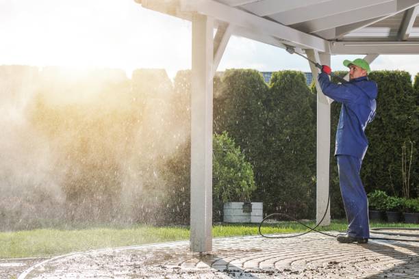 Trusted Lewes, DE Pressure Washing Services Experts