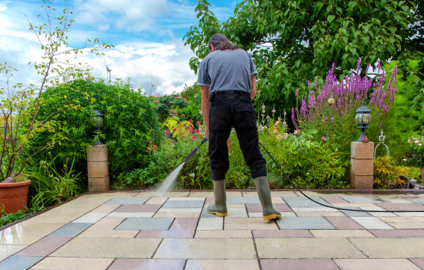 Best Driveway Pressure Washing  in Lewes, DE