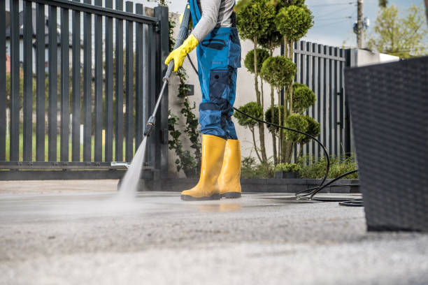 Best Driveway Pressure Washing  in Lewes, DE